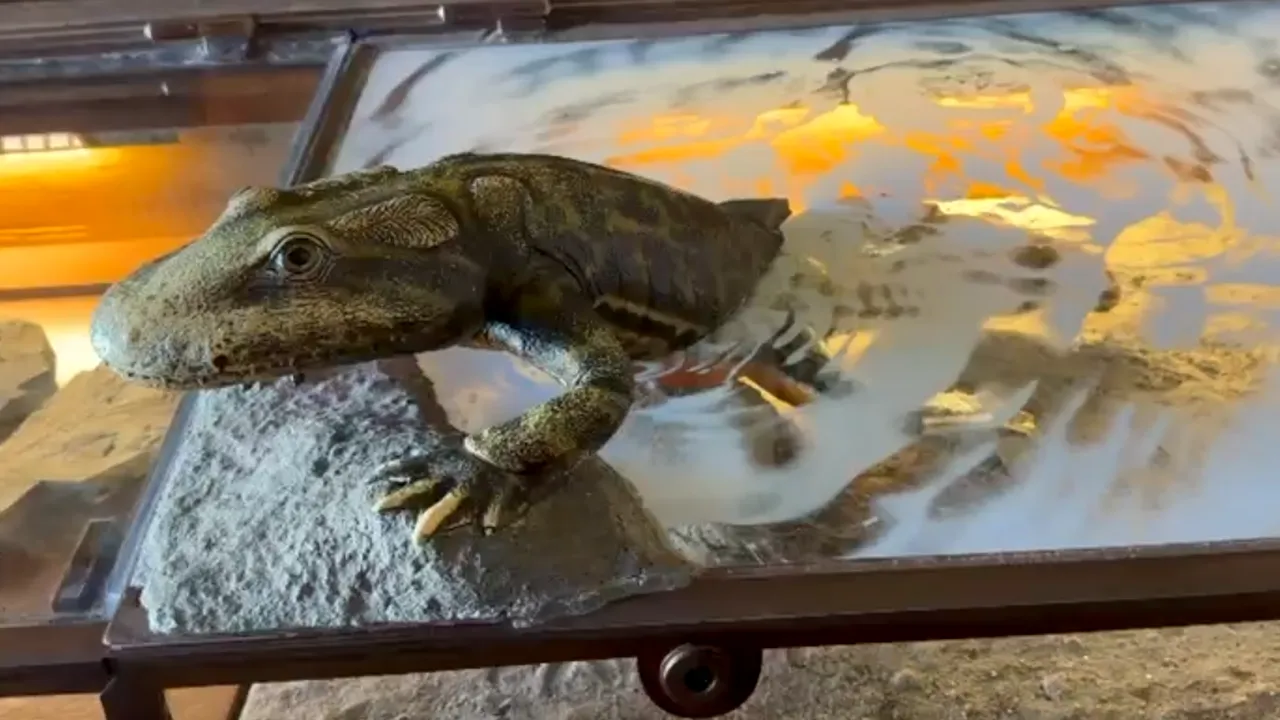 Misterul originii vieții: Potrivit unui studiu, animalele vertebrate ar fi apărut cu 200 de milioane de ani mai devreme decât se credea