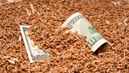AVERTISMENT. Încă o țară riscă să se confrunte cu o criză alimentară de proporții. Oamenii ar putea să nu își mai permită nici măcar alimentele de bază