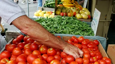Peste 900 de tone de legume, fructe și carne fără acte, în valoare de cca. 4 mil. de lei, confiscate