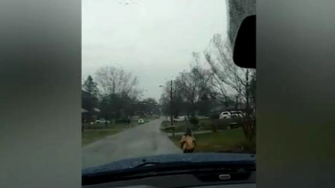 Un tată și-a pus fiul să alerge spre școală, prin ploaie, după ce a aflat că acesta își hărțuia colegii