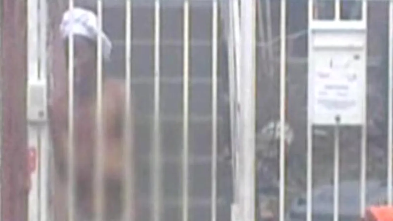 O diplomată a Ambasadei Nigeriei la București a dansat goală în curtea casei unde locuiește