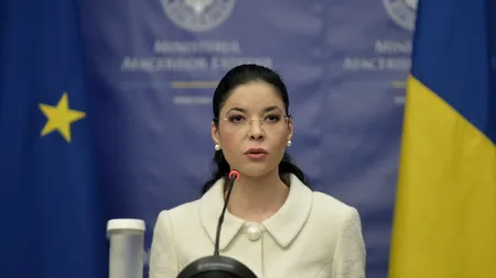 Asociația Judecătorilor pentru Apărarea Drepturilor Omului o acuză pe Ana Birchall de dezinformare și fakenews în legătură cu SIIJ