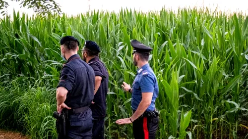 Două tinere au fost găsite moarte într-un lan de porumb, după ce au fost strivite de o combină agricolă