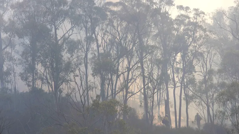 Incendiile din Australia ar putea afecta toată planeta. Anunțul făcut de NASA: cum se poate schimba atmosfera