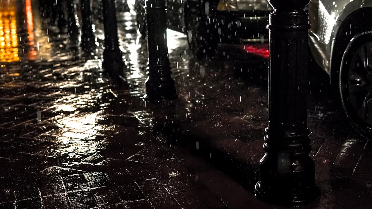 „Orașele burete”, o soluție urbană la schimbările climatice din România? „Valorifică gestionarea apei bazată pe natură, sporind reziliența ECOLOGICĂ”