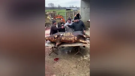 Cancelarul Austriei, Karl Nehammer, ironizat la tăierea porcului: „La mulți ani, domnu' cancelar!