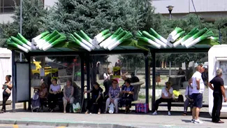 Staţiile de autobuz din Craiova, acoperite cu decoraţiuni în formă de legume sau fructe. PRAZUL, vedeta incontestabilă a zonei, este la loc de cinste