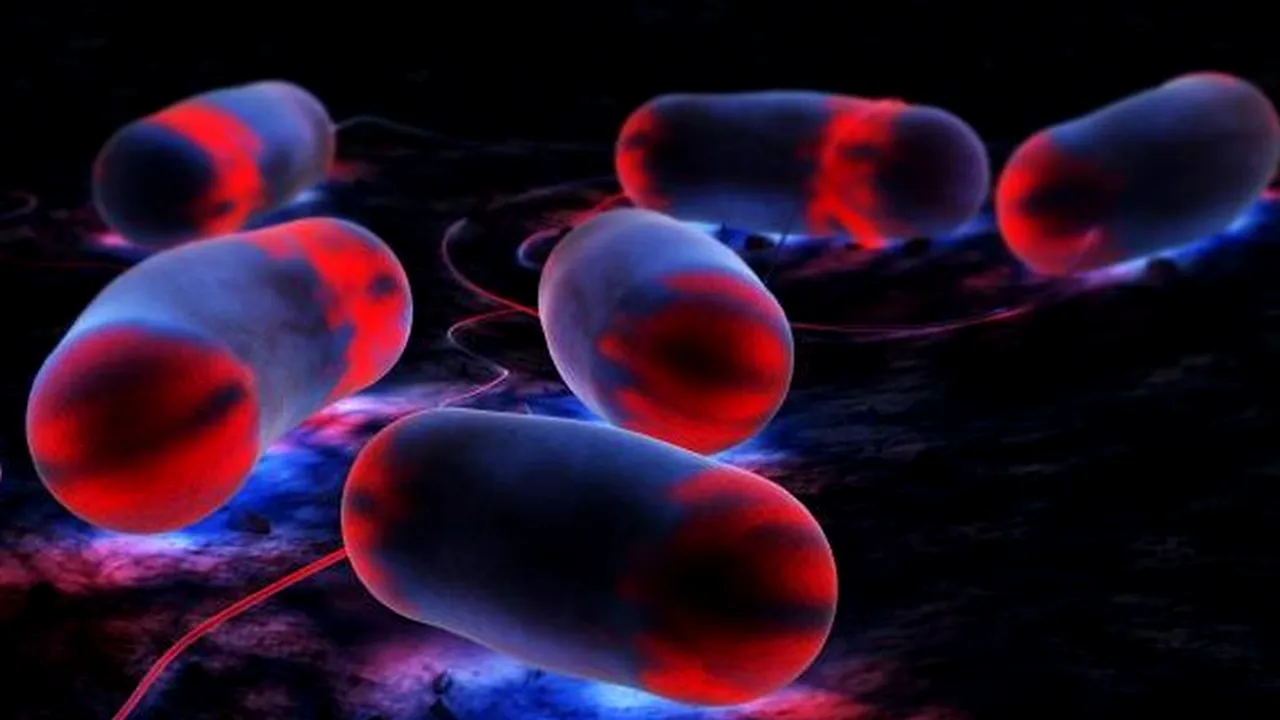 „Boala legionarului