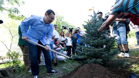 Guvernul vrea să interzică exporturile de lemn. Ponta, către șefii de la Justiție: Găsiți o soluție, altfel plecați!