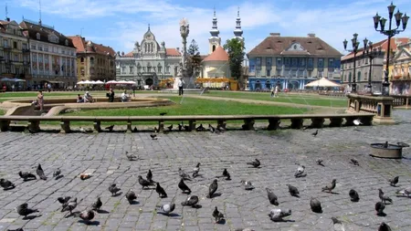 TIMIȘ. Timiș este județul în care se trăiește cel mai bine. Cum au reușit timișenii să-i 