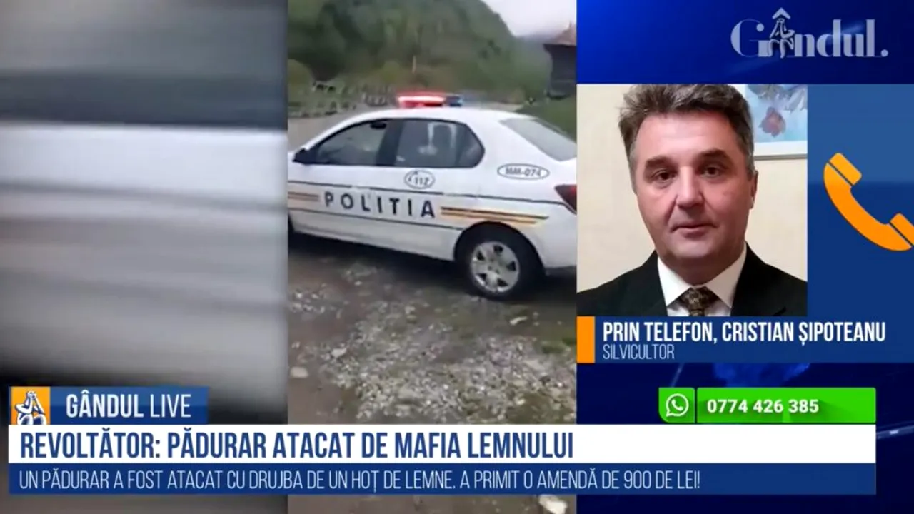 GÂNDUL LIVE. Pădurar atacat de un hoț de lemne cu drujba: „Silvicultorii sunt zilnic expuși la astfel de acțiuni, iar măsurile...”