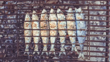 Zeci de kilograme de pește stricat, găsite de inspectori la o cherhana din Năvodari