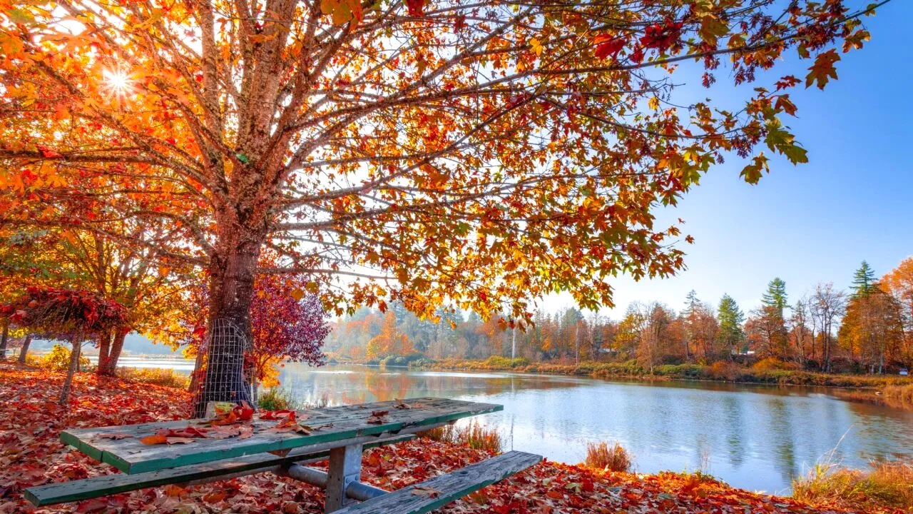 ANM a anunțat prognoza meteo pentru luna septembrie. Cum va fi începutul de toamnă în România