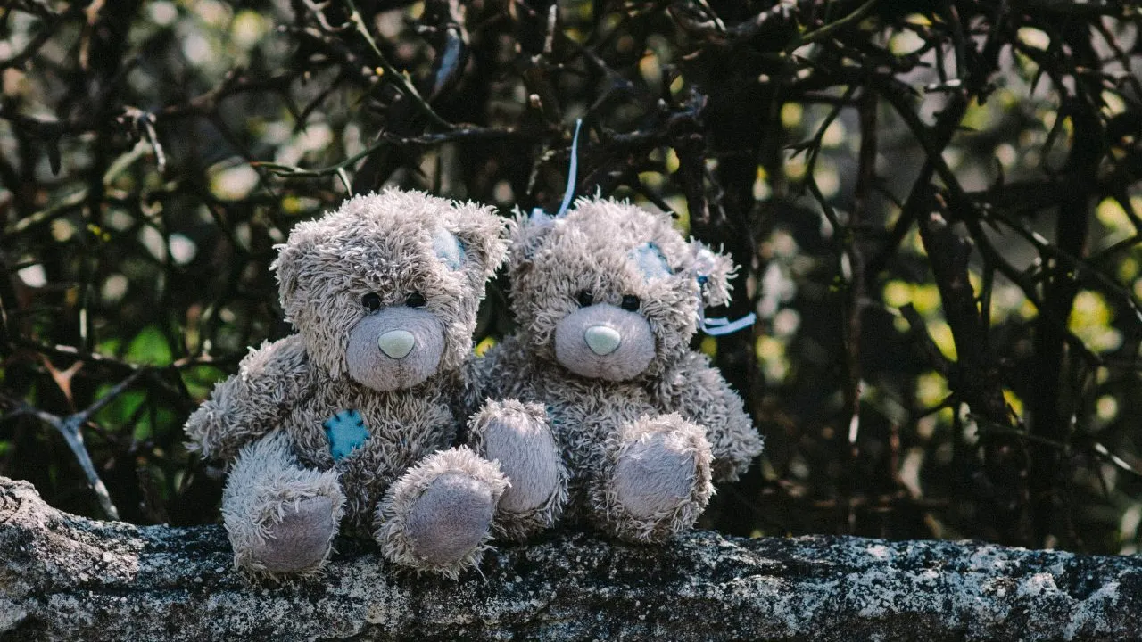O fetiță de 5 ani a fost agresată sexual de un pedofil, într-un parc din Tecuci. Mama ei se afla la câțiva pași. Poliția îl caută pe agresorul identificat