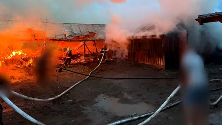 Un adăpost de animale din județul Suceava s-a făcut scrum. Există pericol de propagare a incendiului la alte construcții din proximitate