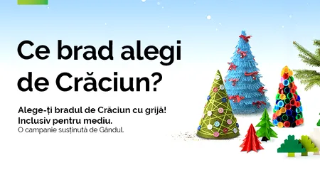 Bradul de Crăciun, mai mult decât un ornament. Cum îl putem alege cu responsabilitate 
