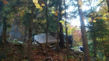 Un șofer de microbuz a murit după ce a intrat într-un copac în timp ce se afla într-un oraș din județul Vâlcea
