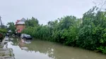 Ploile torențiale și grindina lasă DEZASTRU în urma lor în mai multe zone din țară: case inundate, copaci căzuți peste mașini, un pod s-a surpat
