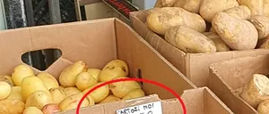 Nu este e eroare! Cu cât se vinde kilogramul de CARTOFI noi românești, într-un magazin de cartier din Ploiești