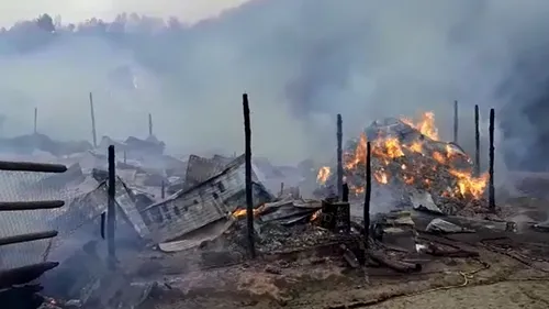 Peste 250 de animale AU MURIT într-un incendiu puternic. Pompierii, OBLIGAȚI să meargă pe jos mai mulți kilometri