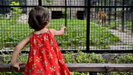 1 iunie, Ziua Copilului. Grădina Zoologică din București poate fi vizitată gratuit de copii și adolescenți