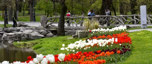 Craiova, pe primul loc în topul destinațiilor europene de Paște: ”Întreaga Românie merită recunoașterea turiștilor lumii”