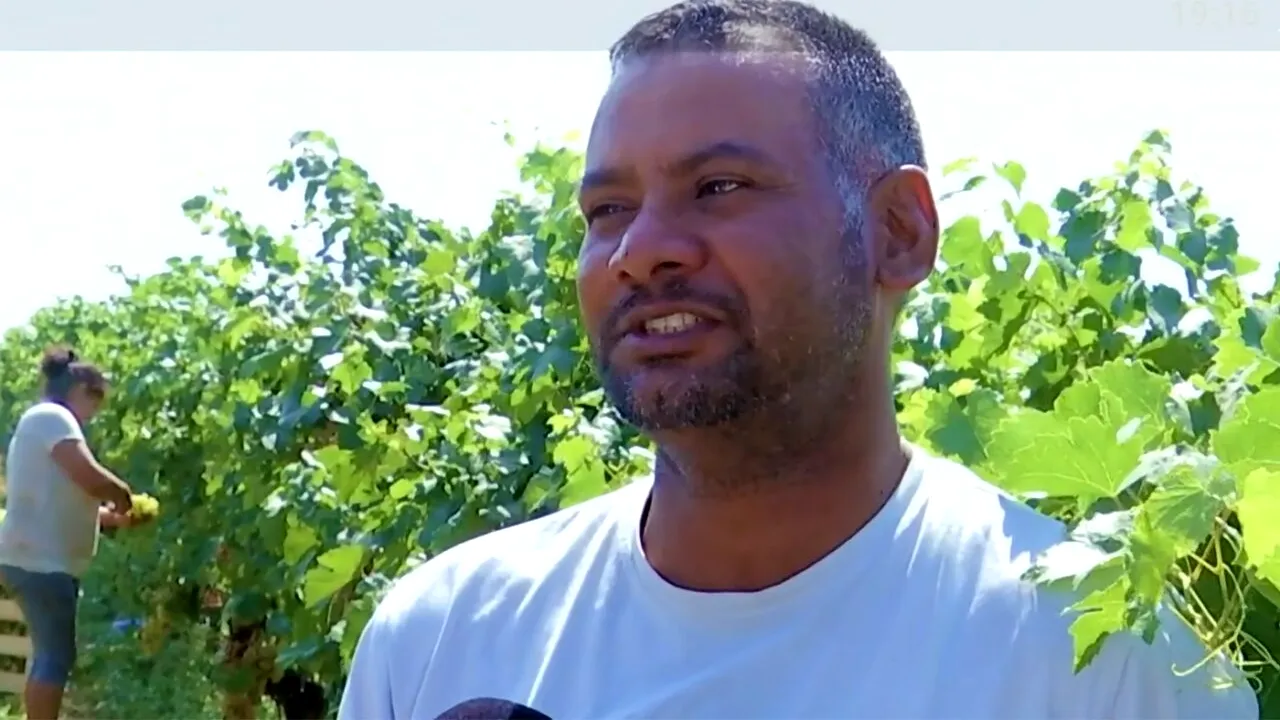 Ce salariu primește Harjit, un indian venit în România la cules de struguri. Câți lei câștigă pe lună, de fapt