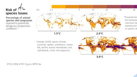 Raport IPCC | Zeci de mii de specii afectate și aflate pe cale de dispariție în următoarele decenii