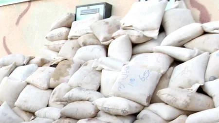 Droguri în valoare de peste 56 de milioane de euro, descoperite în conserve de fructe