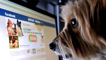 Care este cel mai sigur browser de internet - test NSS Labs