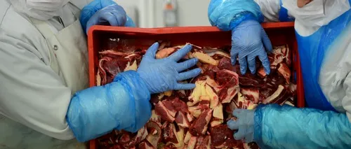 NestlÃ© retrage din Spania și Italia produse conținând carne de cal
