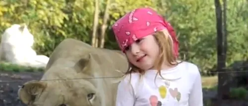VIDEO. Moment amuzant la ZOO. Cum a reacționat o fetiță când s-a trezit în spate cu o leoaică