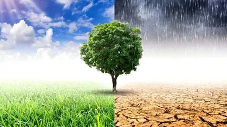 Predicțiile climatologilor pentru România următoarelor decenii: Zăpada va dispărea, iar temperaturile vor crește cu 8 grade Celsius