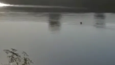 VIDEO. Un bărbat a fost filmat în timp ce se îneca într-un lac. Pescarii care priveau: „Se duce cu capul la fund! S-a înecat”