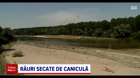 Râurile încep să sece din cauza caniculei și lipsei ploilor. Și nivelul Dunării este în scădere