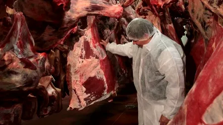 Carne de cal depistată în lasagna comercializată de rețeaua Real în Germania. Real România: 