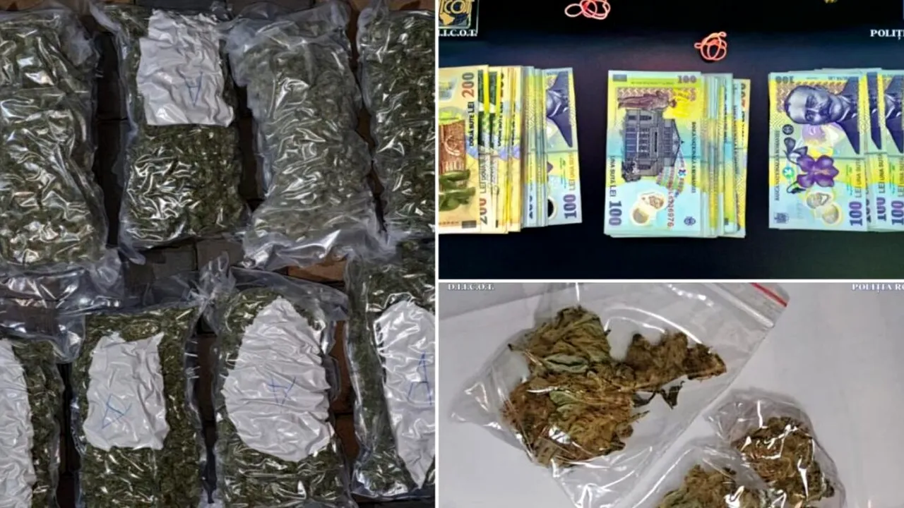 Cantitatea URIAȘĂ de droguri descoperită de polițiști în locuința unui constănțean. „Comoara” ilegală l-a băgat direct în arest