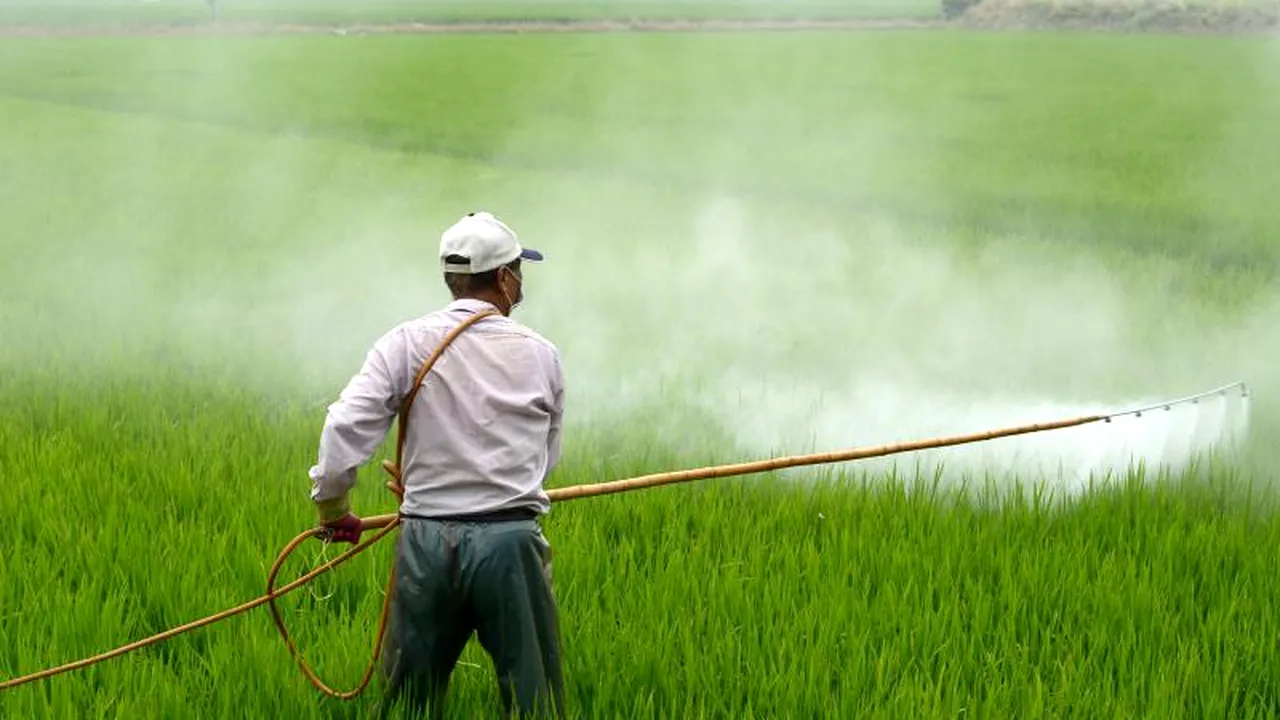 Un alt pesticid, interzis de Executivul european. Neonicotinoidul thiacloprid ar genera toxicitate reproductivă