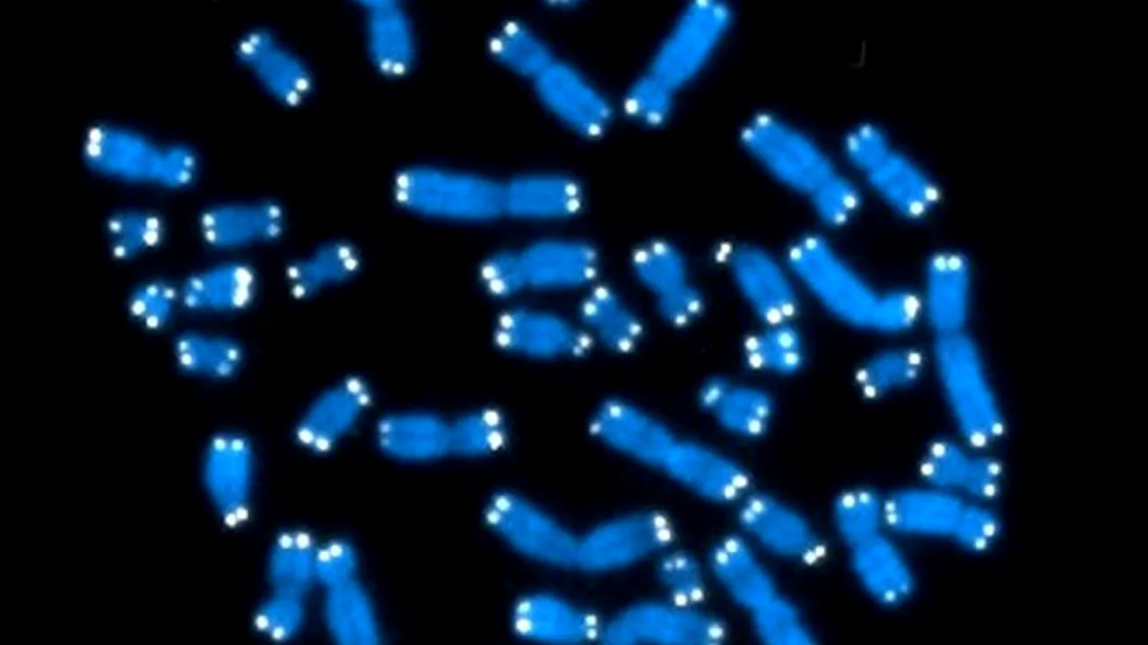 Descoperirea care ar putea revoluționa medicina. Componente ale ADN-ului, considerate până acum fără potențial, ar putea fi salvarea pentru milioane de oameni