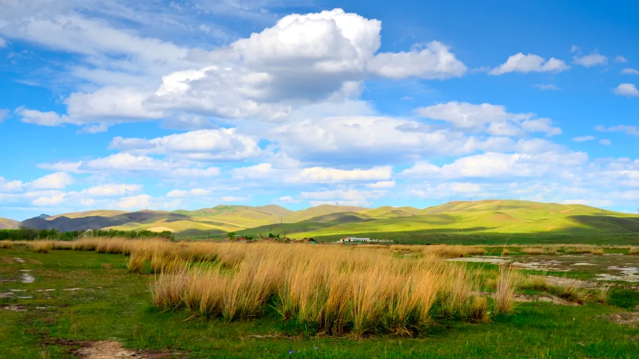 METEO. Vești bune de la meteorologi. Vremea se încălzește în toată țara