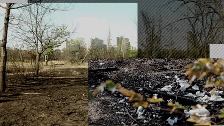 DEZASTRUL din IOR. Cine sunt oamenii care au defrișat 12 ha pentru „târguri și balroom-uri”, după o retrocedare controversată