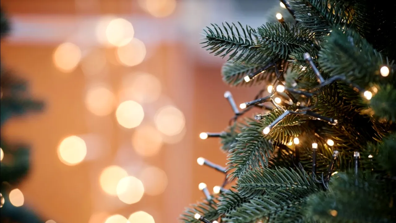 Pericolul care se ascunde în spatele instalațiilor pentru bradul de Crăciun. Sfaturile experților