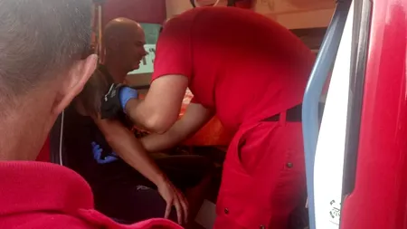 Șamanul, ciobanozaurii, mierea psihedelică și pălinca bezmetică