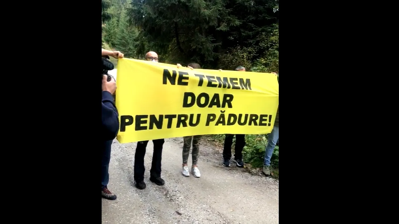 Organizațiile de mediu își declară solidaritatea cu jurnaliștii și activistul agresați, într-o acțiune la locul atacului. „Ne temem doar pentru pădure”