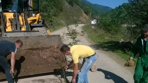 Sătui să tot aștepte ca autoritățile să repare drumul, locuitorii unei comune din Cluj au găsit ei o soluție originală să astupe gropile. „De acum, această porțiune e pădure