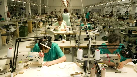 Vizita-surpriză pe care a primit-o patronul care și-a făcut angajații „animale