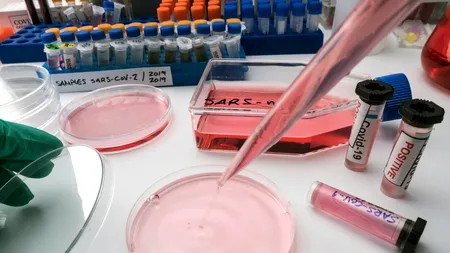 O nouă variantă indiană a coronavirusului, Delta Plus. Cât de contagioasă este