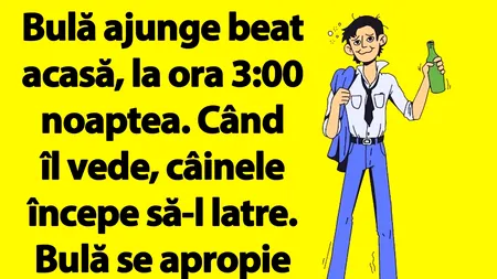 BANC | Bulă ajunge beat acasă, la ora 3:00 noaptea