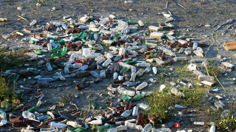 Poluare masivă pe Dunăre, în dreptul orașului Galați: Malul este sufocat de gunoaie și cadavre de animale, după inundații