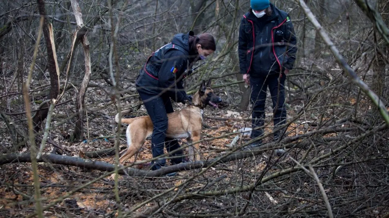 EXCLUSIV. Câinii care salvează vieți: ”Un câine salvator este la fel de eficient ca o echipă de căutare umană formată din 50 de persoane” (FOTOREPORTAJ)